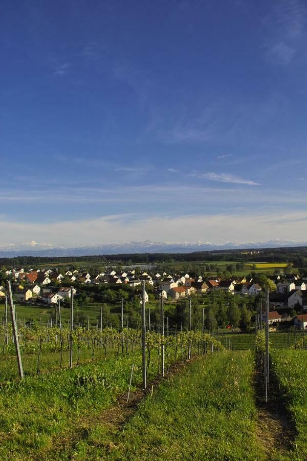 Fewo Schillerstrasse Markdorf Luaran gambar